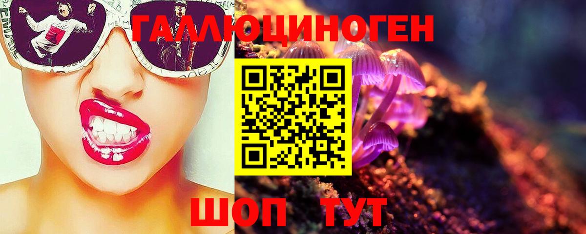 Псилоцибиновые грибы Psilocybine cubensis Карталы