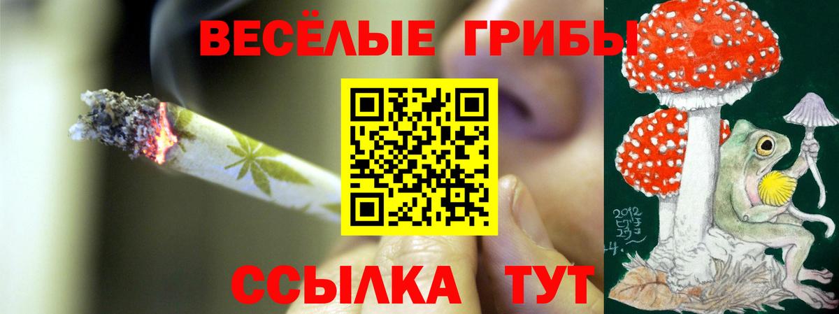 Псилоцибиновые грибы Psilocybe  Псилоцибиновые грибы Psilocybe  Карталы  купить   Вход с VPN 
